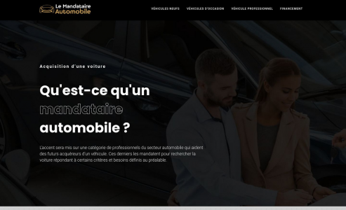 https://www.le-mandataire-automobile.fr
